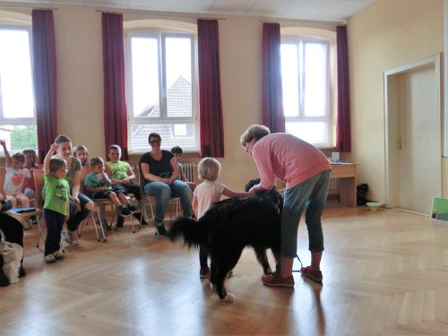 2017_08_08_hundestunde (12).jpg